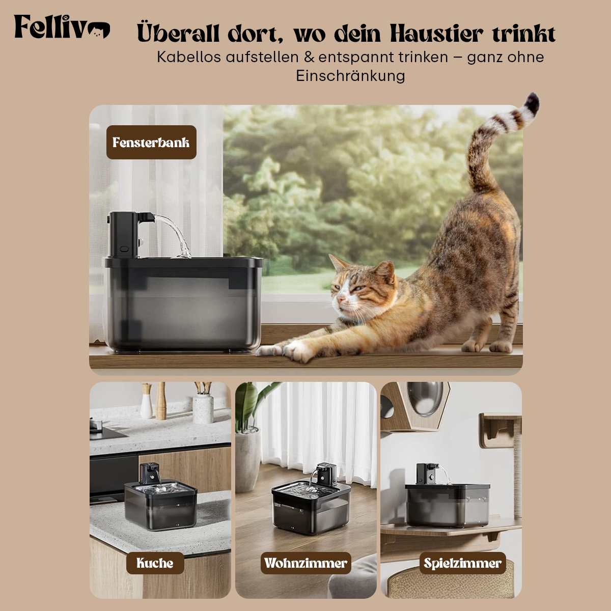 Fellivo AQUO