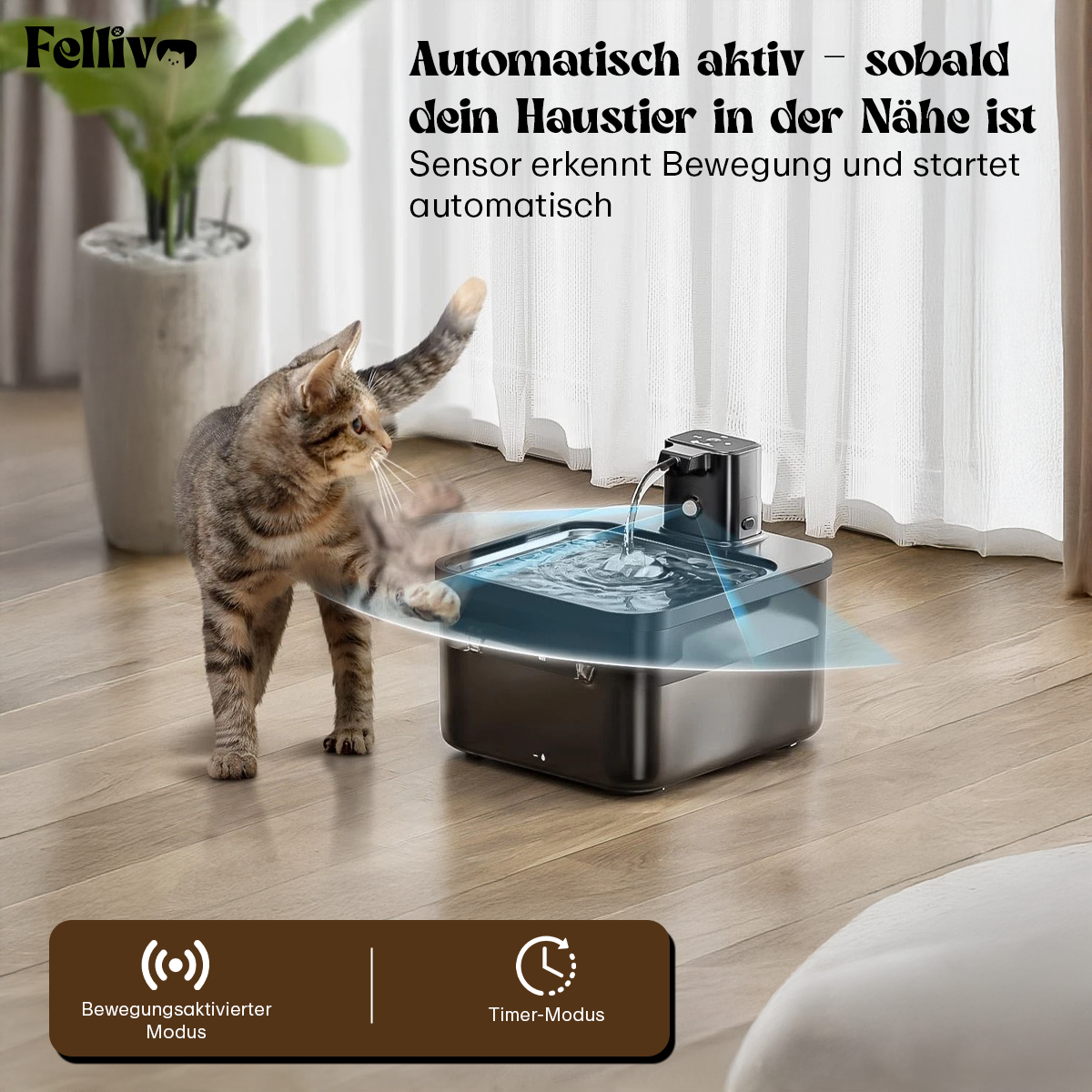 Fellivo AQUO